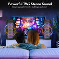 Large Party Bluetooth Speaker, RGB, Dual 6.5
