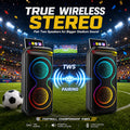 Large Party Bluetooth Speaker, RGB, Dual 6.5